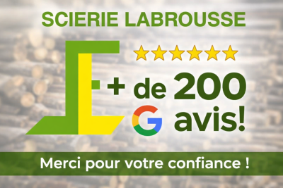 Plus de 200 avis Google : merci pour votre confiance !