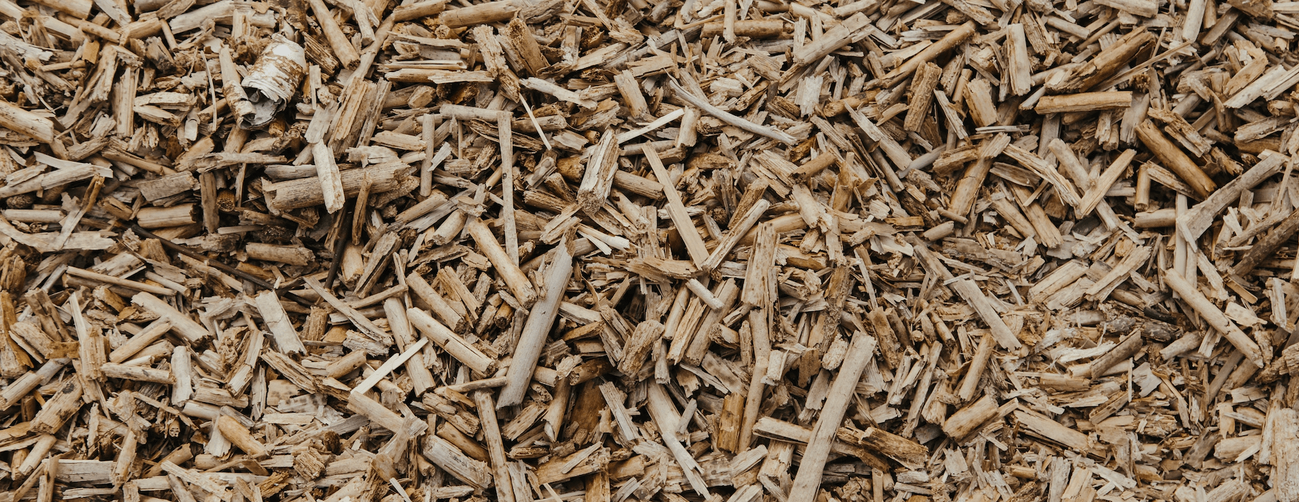 Copeaux de Bois Naturel